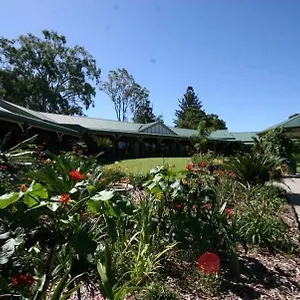 The Bearded Dragon Boutique Gold Coast